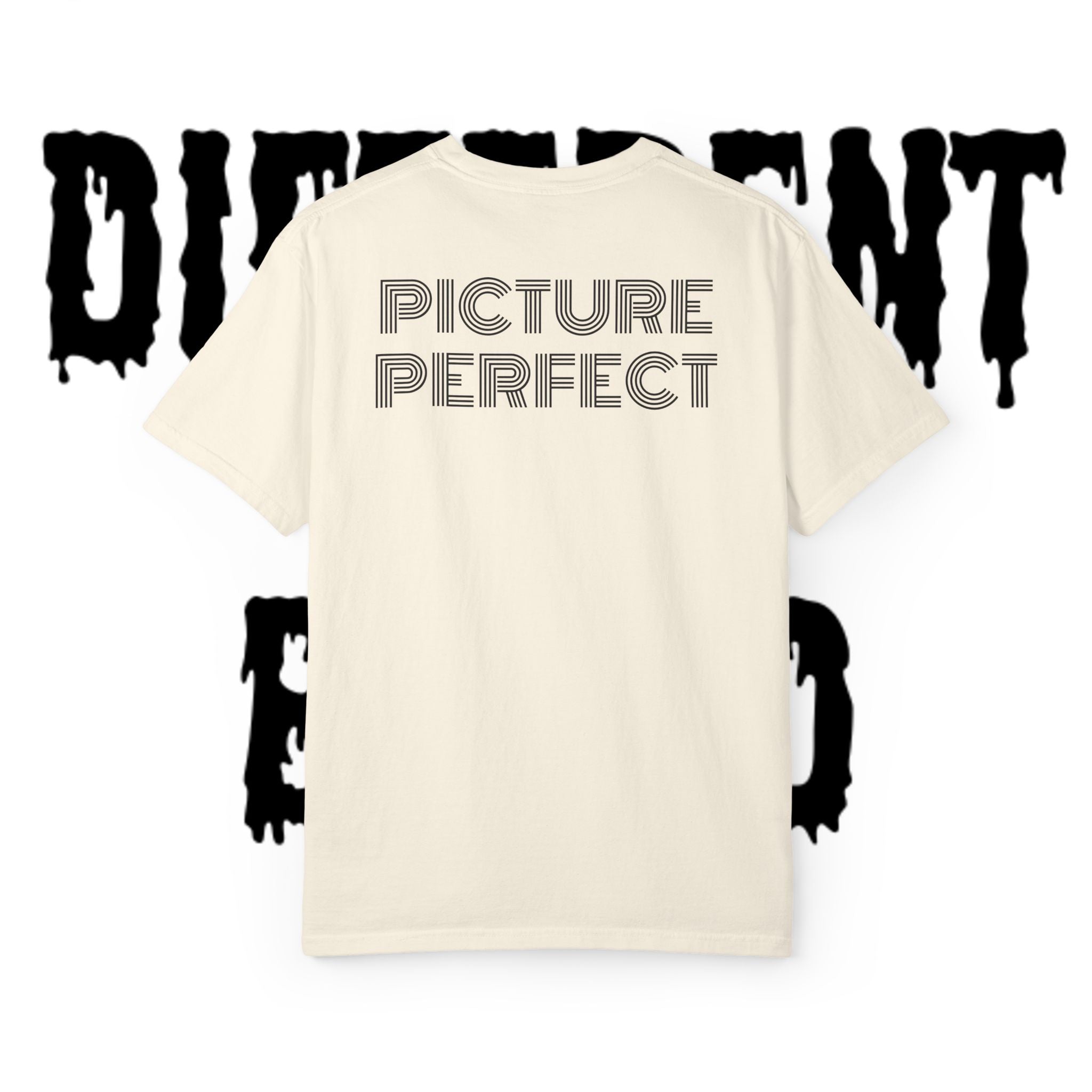 Different Breed / Picture Perfect T-Shirt — Retro Line-Work Graphic Tee
