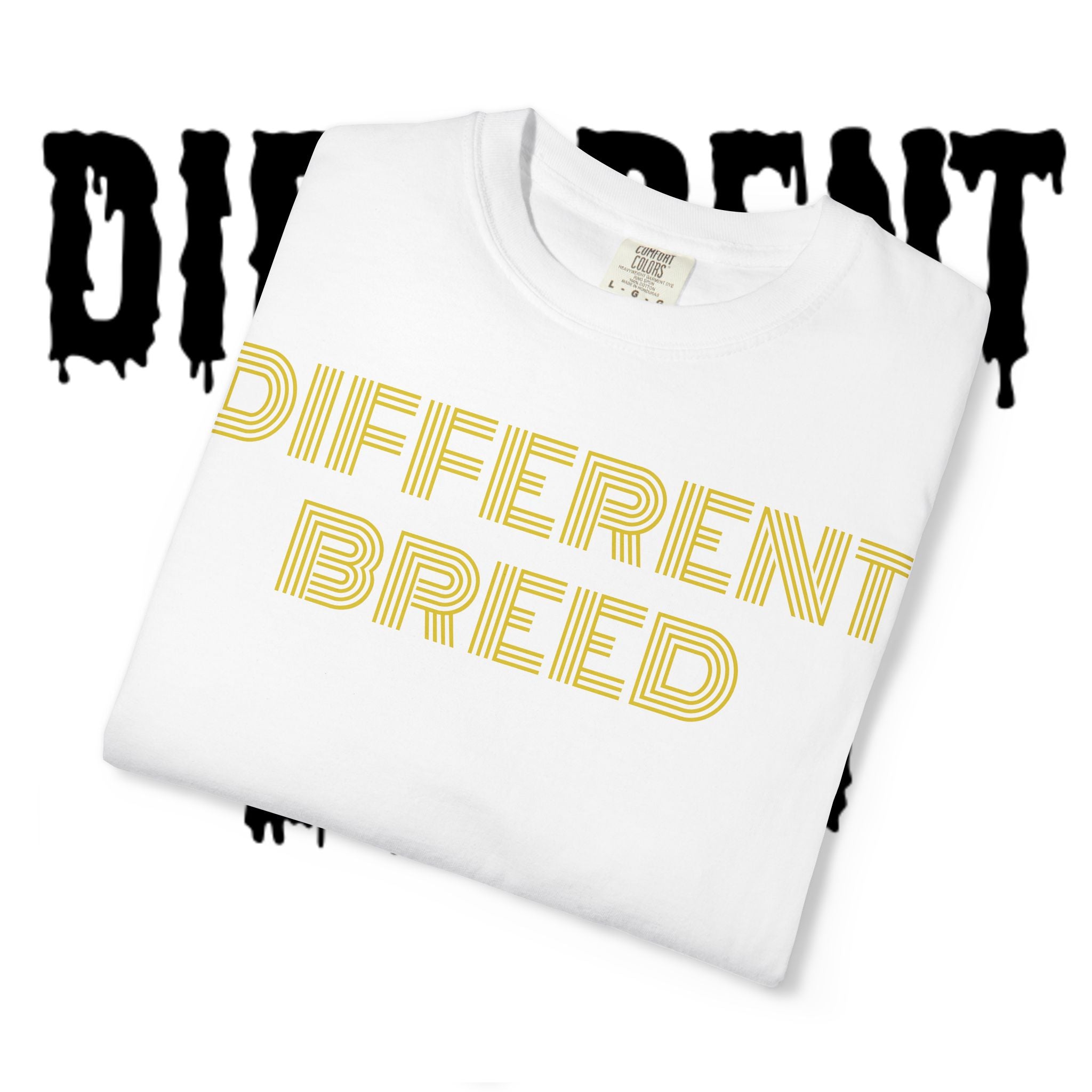 Different Breed / Picture Perfect T-Shirt — Retro Line-Work Graphic Tee